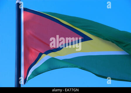 guyana flag Stock Photo