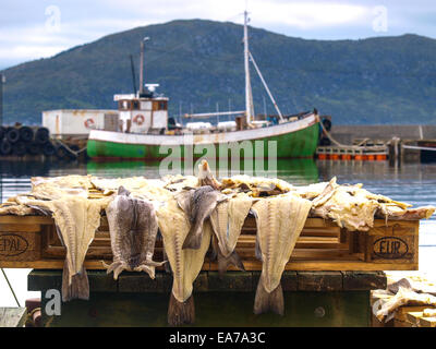 stock fish skin in harbour in runde. Norway Stock Photo