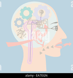 Human head showing many major human senses such as sight, smell, taste and hearing in vector Stock Photo