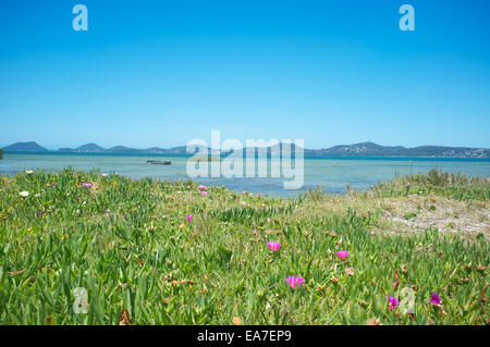 Spring time at Port Stephens, New South Wales, Australia Stock Photo