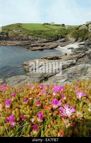 Prussia Cove Cornwall England Stock Photo