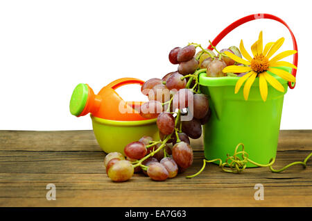 Grapes and garden toys isolated on white Stock Photo