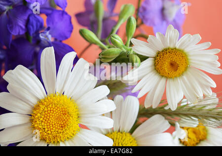 Colorful bouquet of flowers on pink background Stock Photo