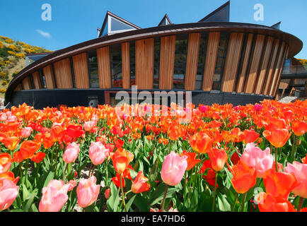 The Core educational building with tulip flowers in the foreground at the Eden Project Bodelva near St Austell Restormel Mid Cor Stock Photo