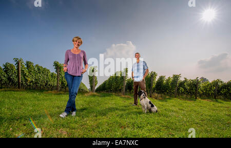 Co-owner Alison Nightingale and her husband Nick at their vineyard  Albourne Estate in West Sussex. Stock Photo