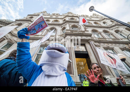 London, UK. 7th Nov, 2014.  Protest against Taiji Dolphin slaughter outside Japanese Embassy Credit:  Guy Corbishley/Alamy Live News Stock Photo