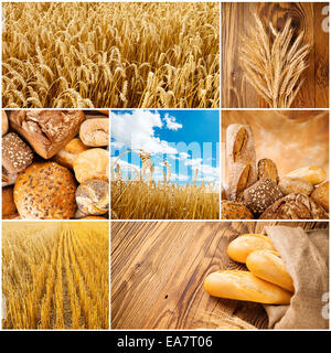 Concept of wheat cycle. Field, harvesting and products Stock Photo