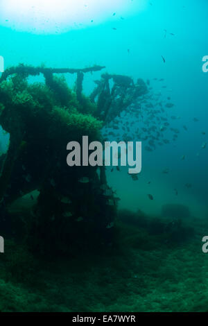 Photograph of the HMS Maori wreck outside Grand Harbor in Valletta, Malta, Mediterranean Sea. Stock Photo