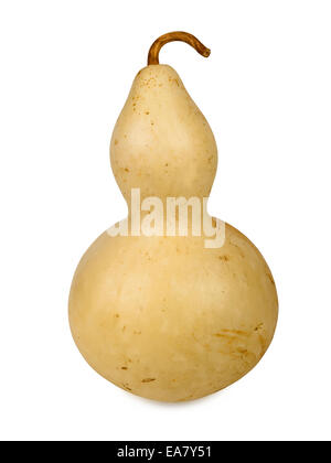 Bottle gourd isolated on a white background Stock Photo