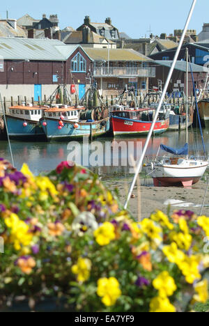 View from West Looe across the East Looe River at low tide to trawlers moored at the quayside West Looe Harbour during the Looe Stock Photo