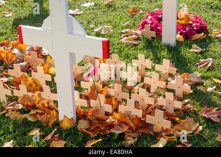 Remembrance day crosses and poppies, George Square memorial garden, Glasgow, Scotland, UK Stock Photo