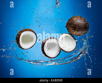 Studio shot of cracked coconuts with water splash on blue background Stock Photo