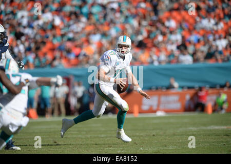 Miami Gardens FL, USA. 2nd Nov, 2014. Ryan Tannehill #17 of Miami in action during the NFL football game between the Miami Dolphins and San Diego Chargers at Sun Life Stadium in Miami Gardens FL. The Dolphins defeated the Chargers 37-0. © csm/Alamy Live News Stock Photo