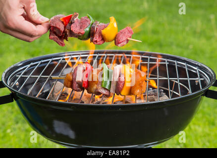 Meat and vegetable skewer on barbecue grill with fire Stock Photo