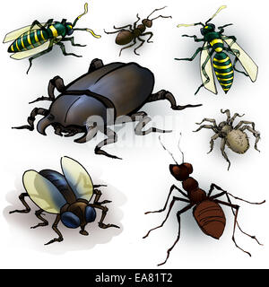 Drawing of a few insects: spider, ant, beetle, fly and wasps Stock Photo