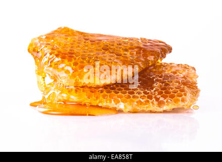 Studio shot of honeycomb, isolated on white background Stock Photo