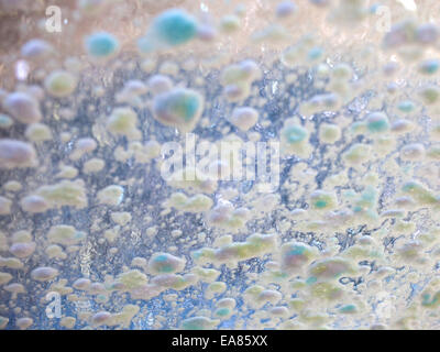 Soap suds on windshield of car going through car wash. Stock Photo