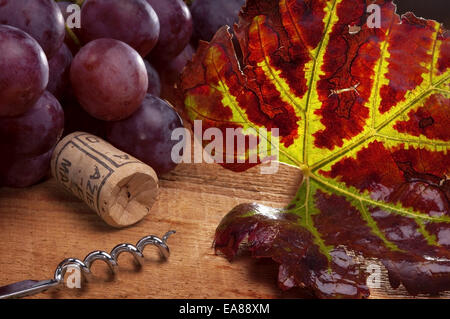 Ready to taste a good wine with some tools for enology Stock Photo