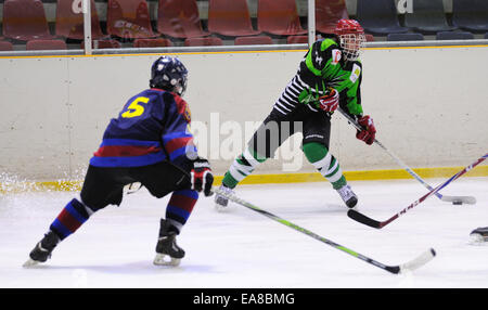 BARCELONA - MAY 11: Players in action in the Ice Hockey final of the Copa del Rey (Spanish Cup). Stock Photo