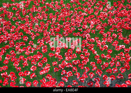 Commemorative display of ceramic poppies in the moat at the Tower of London. The poppies commemorate the 100th anniversary of the first world war. Millions have  visited the installation of 880,000 ceramic poppies by artist Paul Cummins.  The poppies commemorate the 100th anniversary of the first world war. London, UK.  6th November 2014 Stock Photo