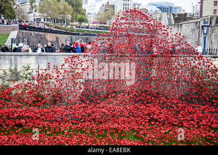 Commemorative display of ceramic poppies in the moat at the Tower of London. The poppies commemorate the 100th anniversary of the first world war. Millions have  visited the installation of 880,000 ceramic poppies by artist Paul Cummins.  The poppies commemorate the 100th anniversary of the first world war. London, UK.  6th November 2014 Stock Photo