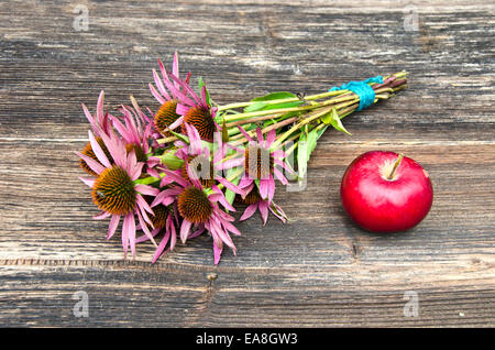 medical herbs echinacea flowers bunch on ancient wooden table background Stock Photo