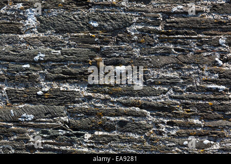 Stone wall background, horizontal frame Stock Photo