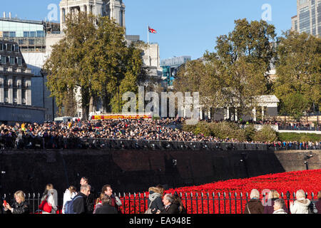 London, UK, 9th November 2014, Remembrance Sunday poppy display at the Tower of London. Crowds gather in the afternoon sunshine to view ceramic artist Paul Cummins display of 888246 ceramic poppies to commemorate British military fatalities and remember service personnel killed during conflicts. This has been one of the business days at the display and queues surround the Tower. Credit:  Imageplotter Travel Photography/Alamy Live News Stock Photo