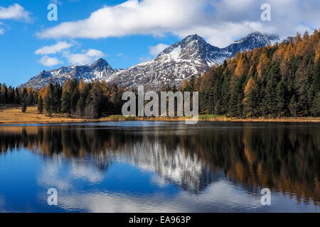 Autumn reflections on the lake Silvaplana, Engadine Saint Moritz, Switzerland Stock Photo