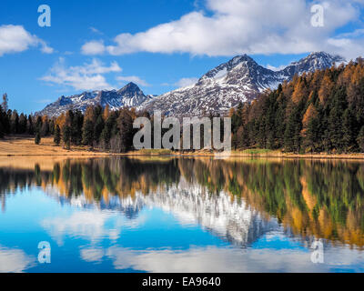 Autumn reflections on the lake Silvaplana, Engadine Saint Moritz, Switzerland Stock Photo