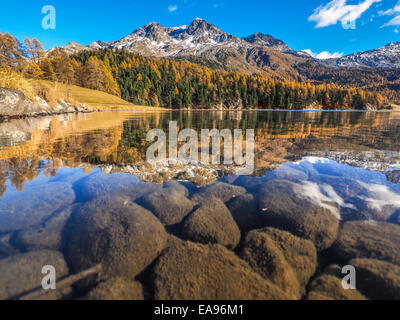 Autumn reflections on the lake Silvaplana, Engadine Saint Moritz, Switzerland Stock Photo