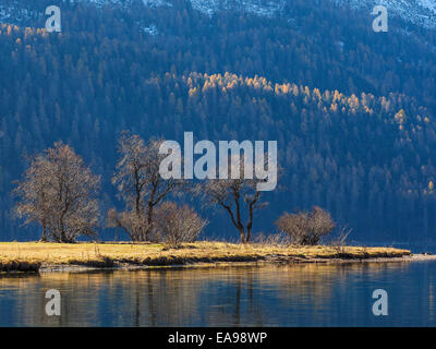 View of the alp mountains in autumn Stock Photo