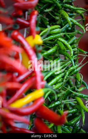 Fresh red and green chillis Stock Photo