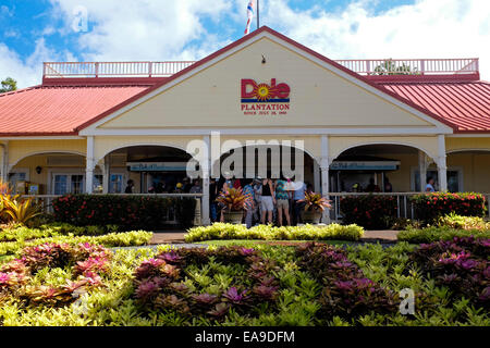 Dole Pineapple Plantation on Oahu, Hawaii Stock Photo