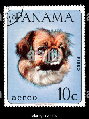 Postage stamp from Panama depicting a dog. Stock Photo