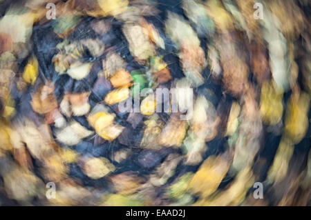 Autumn leaf abstract with circular motion effect. Autumn leaves on the forest floor.