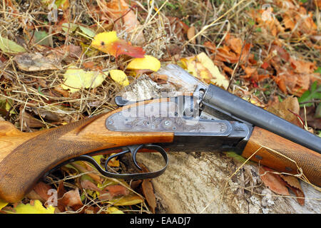 A wooden retro shotgun in autumn style Stock Photo