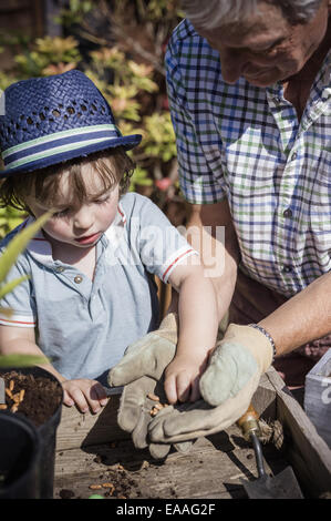 Man and a young child gardening, planting seeds. Stock Photo