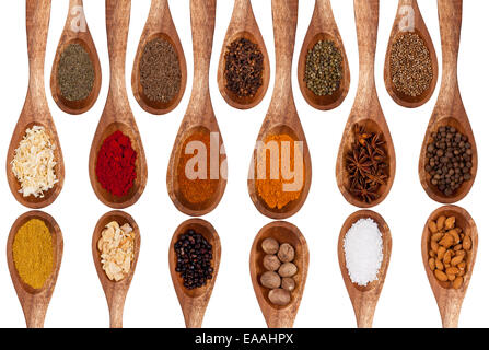 Concept with spices on wooden spoons, isolated on white background Stock Photo