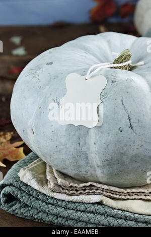 Thanksgiving holiday, blue or teal colored pumpkin still life decoration with with blank greeting card with copy space. Extreme Stock Photo