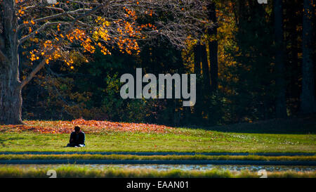 Lone person meditating on an a warm sunny Autumn day under a tree. Stock Photo