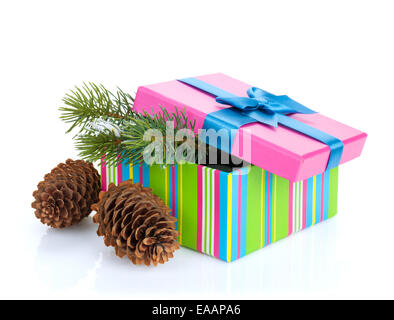 Christmas gift box with fir tree. Isolated on white background Stock Photo