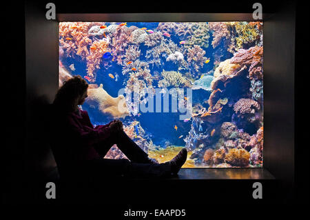 Horizontal portrait of a tourist looking at tropical fish in an aquarium. Stock Photo