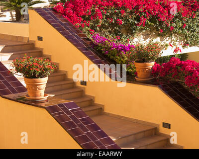 Spanish hotel steps with flower pots. Stock Photo