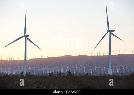 Part of the Tehachapi Pass wind farm, the first large scale wind farm area developed in the US, California, USA, at sunset. Stock Photo