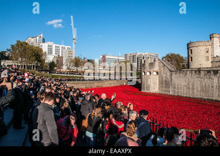 Blood Swept Lands and Seas of Red is a 2014 work of installation art placed in the moat of the Tower of London for the Centenary Great War, UK Stock Photo
