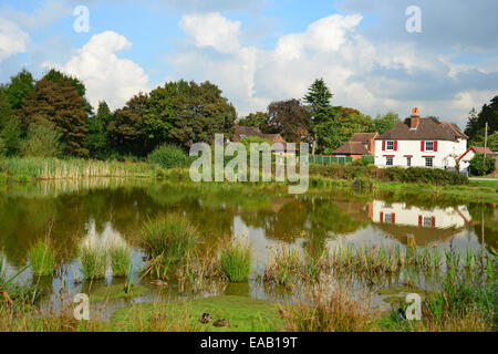 The Pond on West Common, Gerrards Cross Common, Gerrards Cross, Buckinghamshire, England, United Kingdom Stock Photo