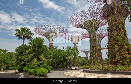 Immense supertrees, vertical gardens, rising to blue sky above palm trees & other plants in Singapore's vast Gardens By The Bay Stock Photo