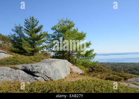 View from Mount Battie in Camden, Maine.  There are evergreen trees and large rocks with a view of the harbor in the background. Stock Photo