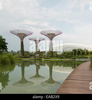 Unique high artificial trees & immense glass dome / conservatory reflected in calm water of lake, Gardens By The Bay , Singapore Stock Photo